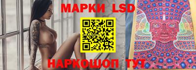 PSILOCYBIN Заводоуковск