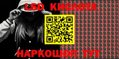 PSILOCYBIN Заводоуковск