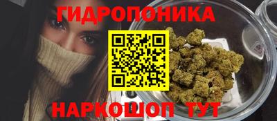 эйфоретик Заволжье