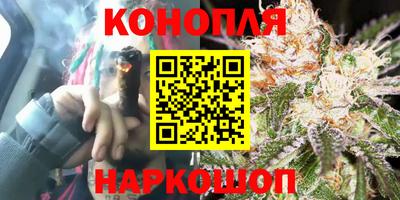 PSILOCYBIN Заводоуковск