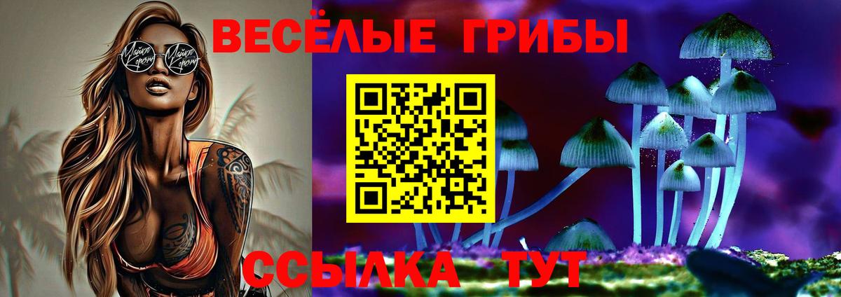 Галлюциногенные грибы прущие грибы  Вход с VPN  Лениногорск  Псилоцибиновые грибы ЛСД 